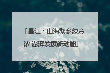 昌江：山海黎乡绿意浓 澎湃发展新动能