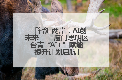 智汇两岸，AI创未来——厦门思明区台青“AI+”赋能提升计划启航