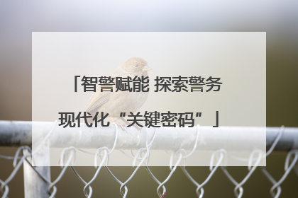 智警赋能 探索警务现代化“关键密码”