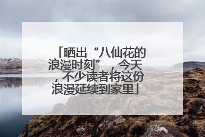 晒出“八仙花的浪漫时刻”，今天，不少读者将这份浪漫延续到家里