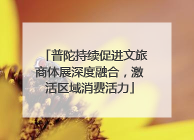普陀持续促进文旅商体展深度融合，激活区域消费活力