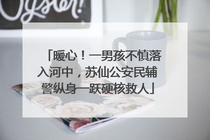 暖心！一男孩不慎落入河中，苏仙公安民辅警纵身一跃硬核救人