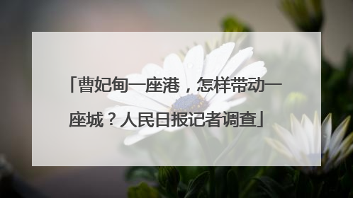 曹妃甸一座港，怎样带动一座城？人民日报记者调查