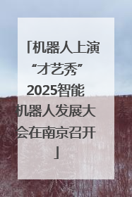 机器人上演“才艺秀” 2025智能机器人发展大会在南京召开