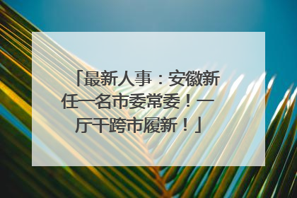 最新人事：安徽新任一名市委常委！一厅干跨市履新！