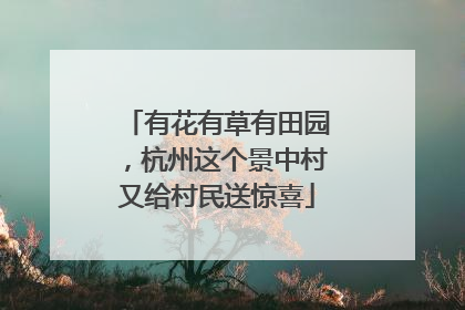 有花有草有田园，杭州这个景中村又给村民送惊喜