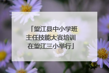 望江县中小学班主任技能大赛培训在望江三小举行
