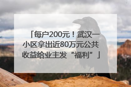 每户200元！武汉一小区拿出近80万元公共收益给业主发“福利”
