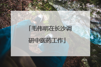 毛伟明在长沙调研中医药工作
