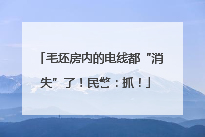 毛坯房内的电线都“消失”了！民警：抓！