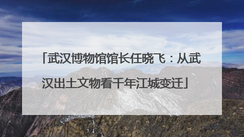 武汉博物馆馆长任晓飞：从武汉出土文物看千年江城变迁