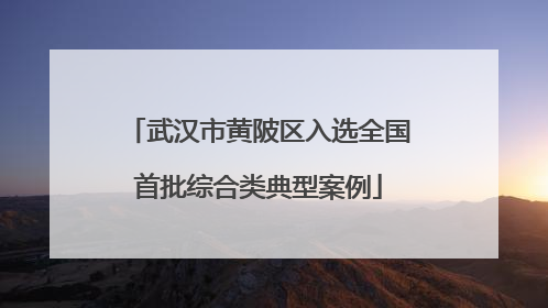 武汉市黄陂区入选全国首批综合类典型案例