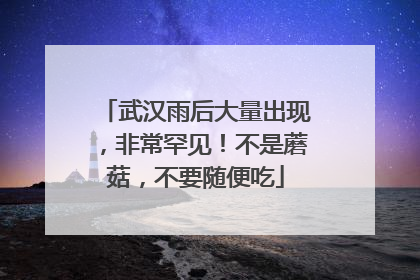 武汉雨后大量出现，非常罕见！不是蘑菇，不要随便吃