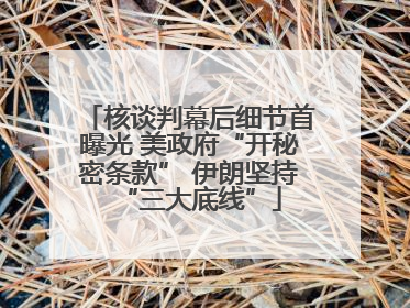 核谈判幕后细节首曝光 美政府“开秘密条款” 伊朗坚持“三大底线”