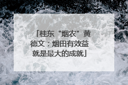 桂东“烟农”黄德文：烟田有效益就是最大的成就