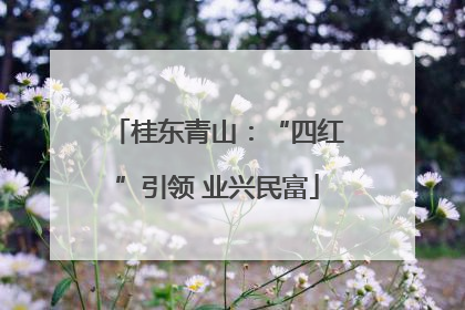 桂东青山：“四红”引领 业兴民富