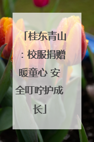 桂东青山：校服捐赠暖童心 安全叮咛护成长