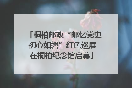 桐柏邮政“邮忆党史 初心如磐”红色巡展在桐柏纪念馆启幕