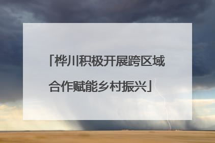 桦川积极开展跨区域合作赋能乡村振兴