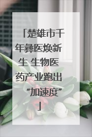 楚雄市千年彝医焕新生 生物医药产业跑出“加速度”