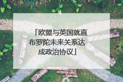 欧盟与英国就直布罗陀未来关系达成政治协议
