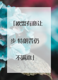 欧盟有意让步 特朗普仍不满意