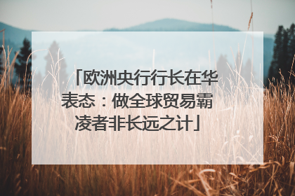 欧洲央行行长在华表态：做全球贸易霸凌者非长远之计