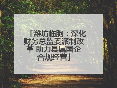 潍坊临朐：深化财务总监委派制改革 助力县属国企合规经营