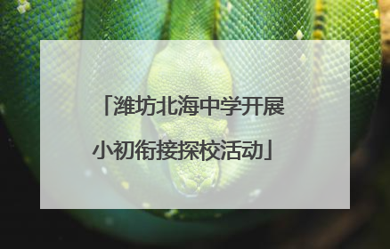 潍坊北海中学开展小初衔接探校活动