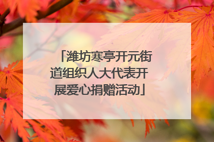 潍坊寒亭开元街道组织人大代表开展爱心捐赠活动