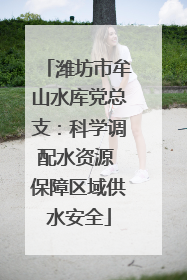 潍坊市牟山水库党总支：科学调配水资源 保障区域供水安全