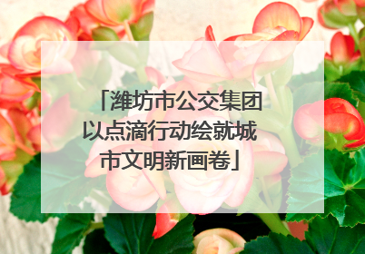 潍坊市公交集团以点滴行动绘就城市文明新画卷