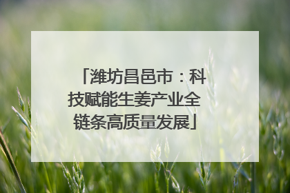 潍坊昌邑市：科技赋能生姜产业全链条高质量发展