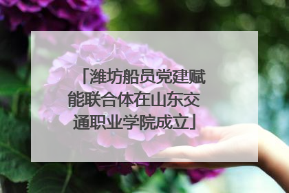潍坊船员党建赋能联合体在山东交通职业学院成立