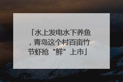 水上发电水下养鱼，青岛这个村百亩竹节虾抢“鲜”上市