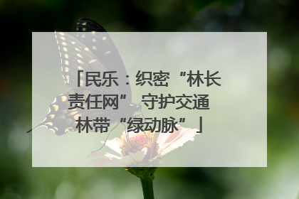 民乐：织密“林长责任网” 守护交通林带“绿动脉”