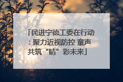 民进宁德工委在行动：聚力近视防控 童声共筑“睛”彩未来