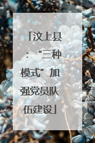 汶上县：“三种模式”加强党员队伍建设