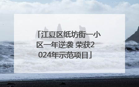 江夏区纸坊街一小区一年逆袭 荣获2024年示范项目