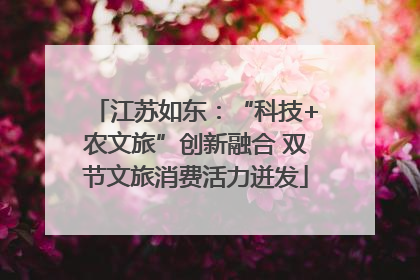 江苏如东：“科技+农文旅”创新融合 双节文旅消费活力迸发