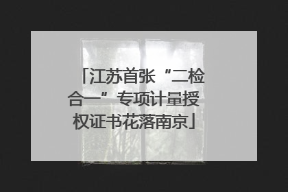 江苏首张“二检合一”专项计量授权证书花落南京