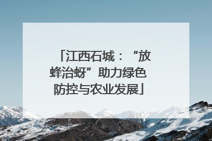 江西石城：“放蜂治蚜”助力绿色防控与农业发展