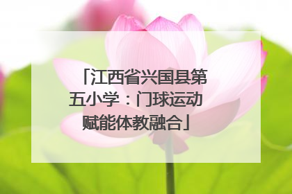 江西省兴国县第五小学：门球运动赋能体教融合