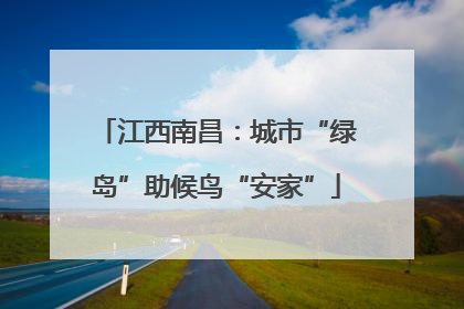 江西南昌：城市“绿岛”助候鸟“安家”