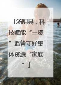 汤阴县：科技赋能“三资”监管守好集体资源“家底”