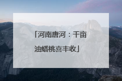 河南唐河：千亩油蟠桃喜丰收