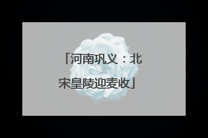 河南巩义：北宋皇陵迎麦收