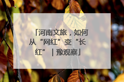 河南文旅，如何从“网红”变“长红”｜豫观察