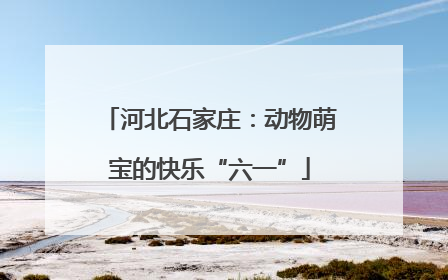 河北石家庄：动物萌宝的快乐“六一”