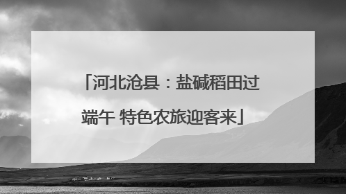 河北沧县：盐碱稻田过端午 特色农旅迎客来